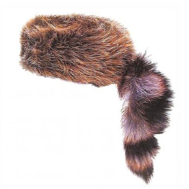 Davy-Crockett-casquette-fourrure-raton-laveur-raccoon-Tenessee-Etats-Unis.