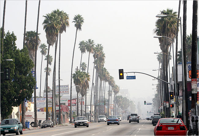 Sunset Boulevard