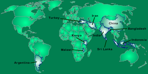 Carte des pays producteurs de thé dans le monde, Argentine, Malawi, Kenya, Turquie, Iran, Inde, Srilanka, Chine, Bangladesh, Indonesie.